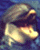 Delfin