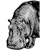 hippo