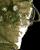 Nine_of_Nine