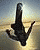 skysurfer